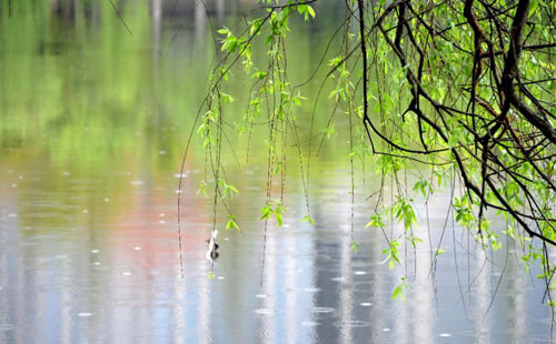 雨中的精密鑄造-——-蘇博卡捷新材料在雨季的應(yīng)用實(shí)踐.jpg